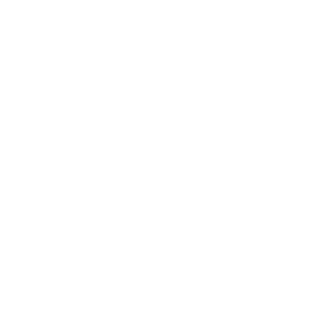 Motion Flow